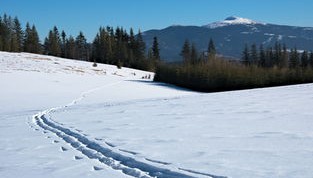 开云app下载-世界青少年雪地徒步挑战赛在东北热情开跑，雪地徒步穿越